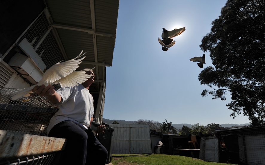 Dick Whitehead is a retiree who recently won a nationwide pigeon racing event.