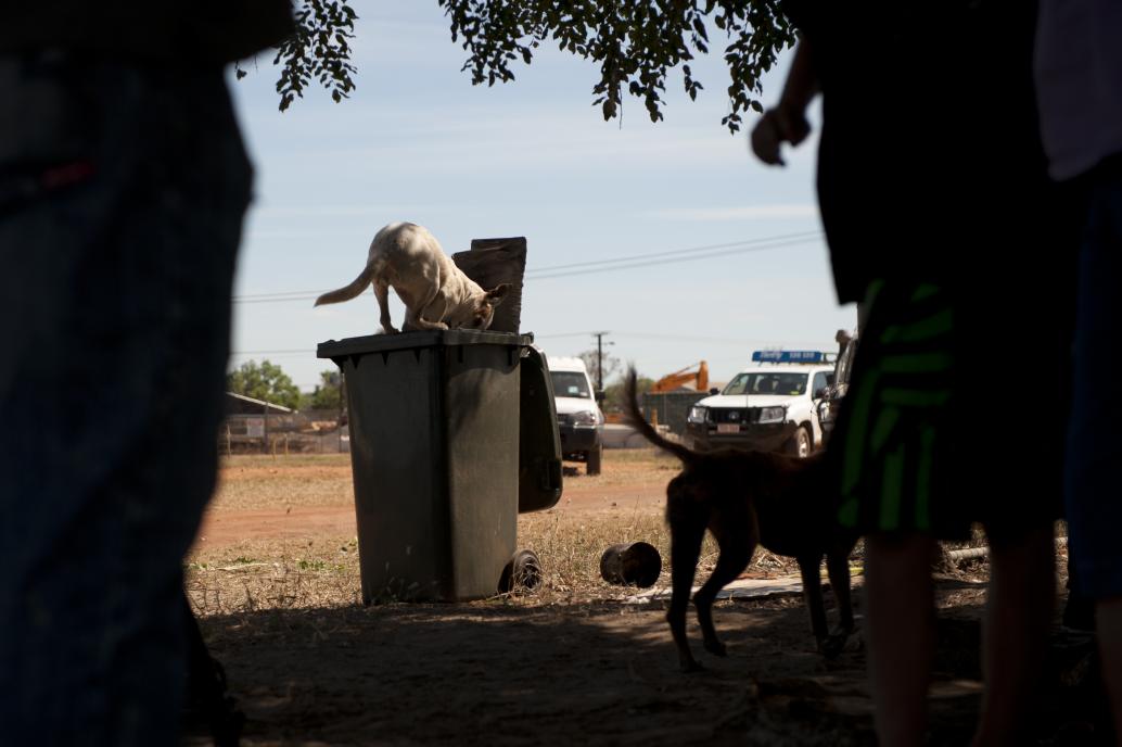 Aboriginal bones are returned to their homeland after being stolen 50 years ago, and a traditional ceremony is held to mark the occasion in Oenpelli, NT, July 2011.