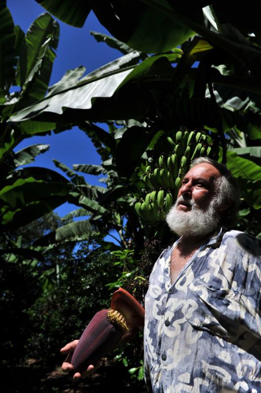 Banana farmer