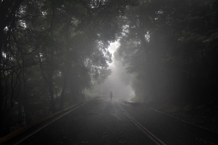 Kiama Council media liason Pip Spence decends into the fog on Jamberoo Mountain Road after the road was closed due to flash flooding on monday across the Illawarra.